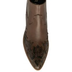 Tan & Snake-Print Leather Galmoy Heeled Ankle Boots | Ravel -Shoes Sale Store tan snake print leather galmoy heeled ankle boots ravel p1742 10213 medium